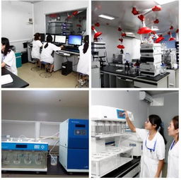 公司新聞 新藥與醫(yī)療器械一站式綜合服務(wù)CRO平臺(tái)發(fā)布